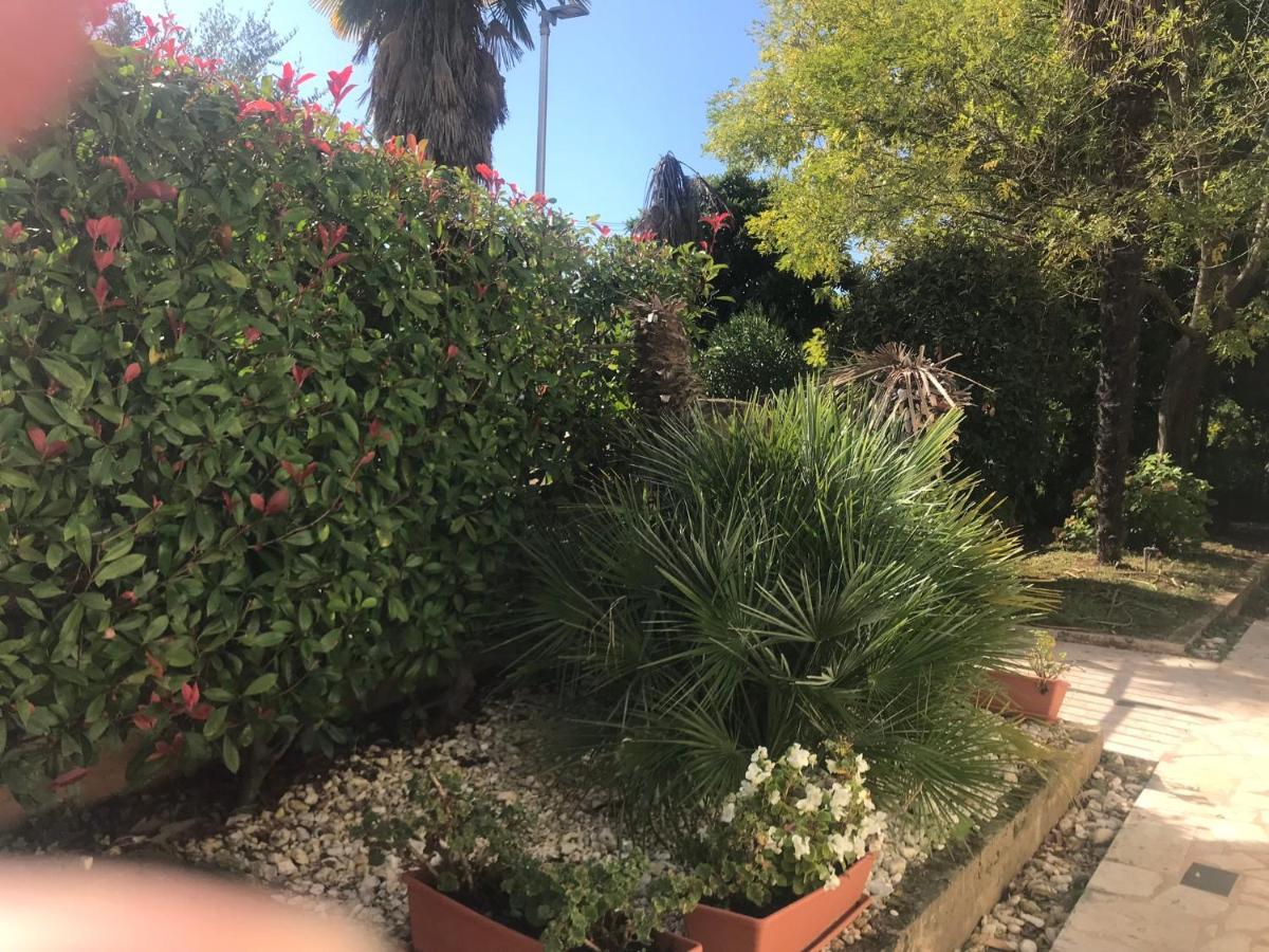 Bloom Near The * Poreč