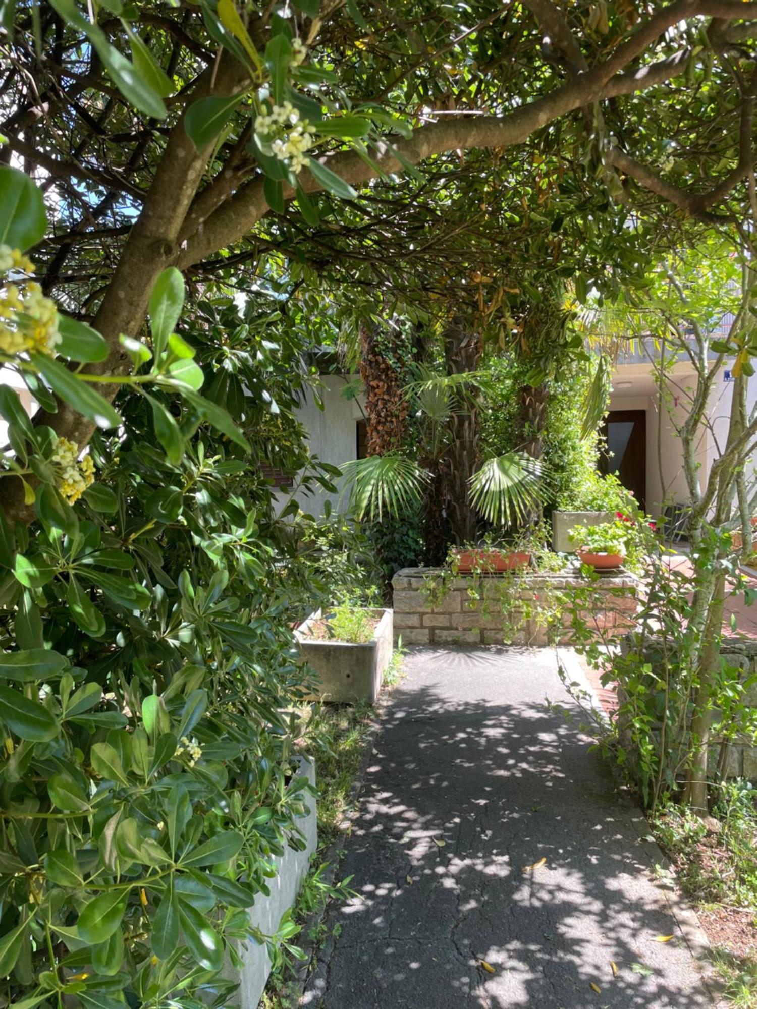 Apartment Bloom Near The